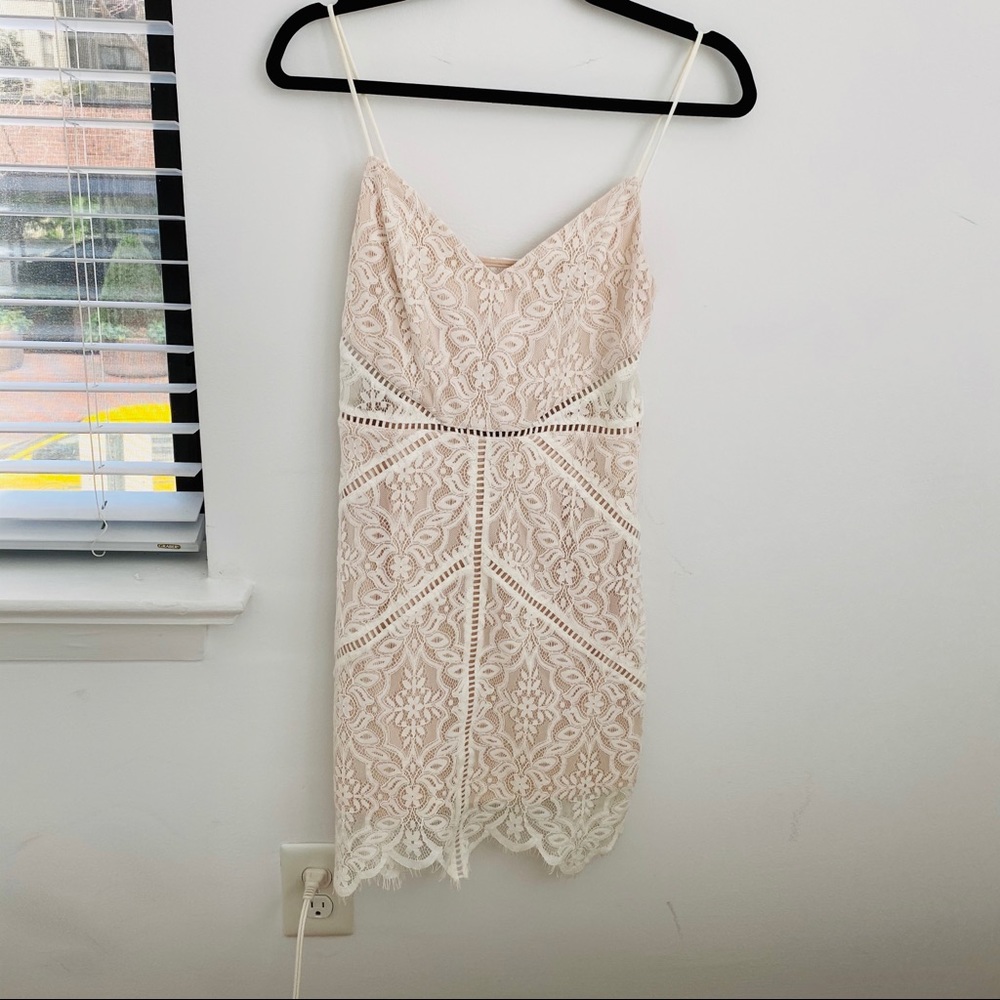 Ivory and Nude Lace Bodycon Dress